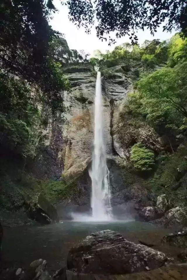 200L辣椒番茄酱全自动直线式灌装机